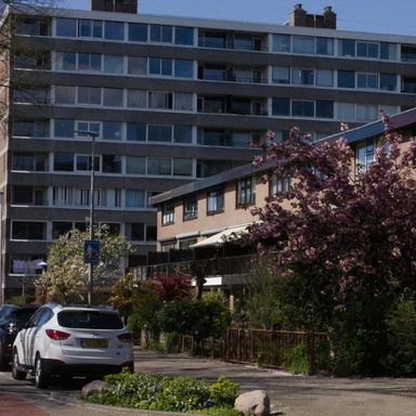 Staging: Rent this appartement with 0 - 3 bedrooms in Montréal, 1224 Rue Saint-Marc